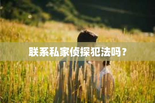 联系私家侦探犯法吗？