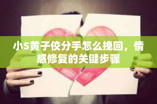 小S黄子佼分手怎么挽回,情感修复的关键步骤 小S黄子佼分手怎么挽回,情感修复的关键步骤