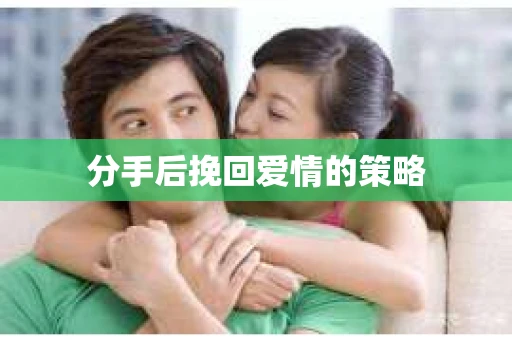 分手后挽回爱情的策略