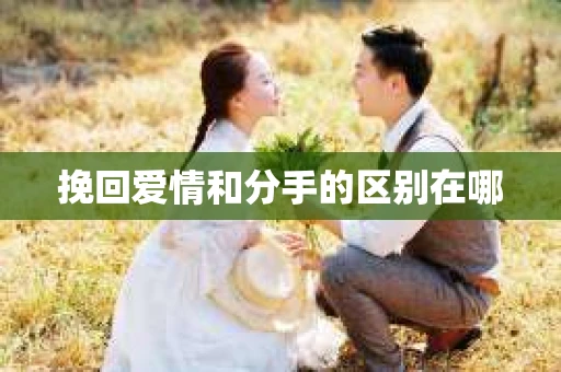 挽回爱情和分手的区别在哪