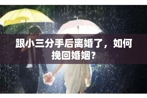 跟小三分手后离婚了，如何挽回婚姻？