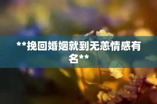 **挽回婚姻就到无恙情感有名**