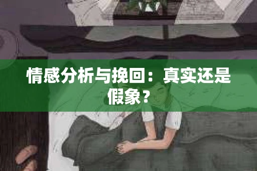 情感分析与挽回：真实还是假象？