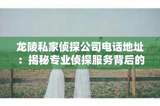 龙陵私家侦探公司电话地址：揭秘专业侦探服务背后的故事
