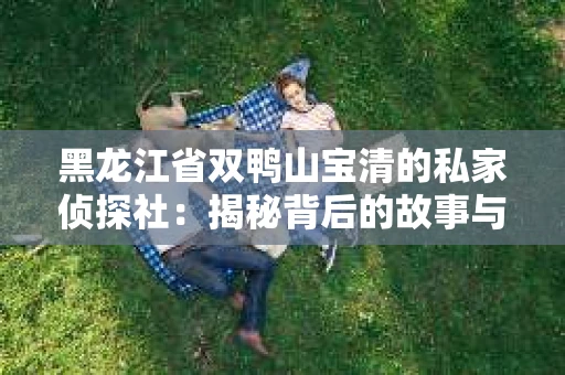 黑龙江省双鸭山宝清的私家侦探社：揭秘背后的故事与案例