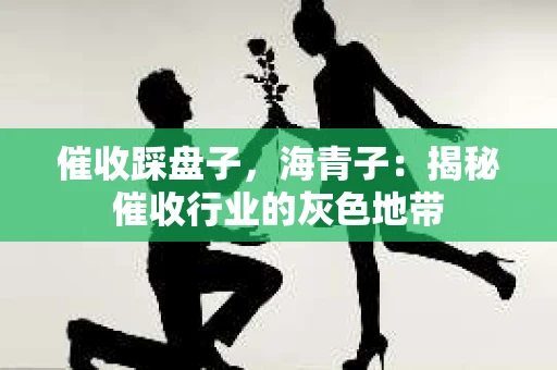 催收踩盘子，海青子：揭秘催收行业的灰色地带