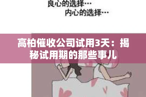 高柏催收公司试用3天：揭秘试用期的那些事儿