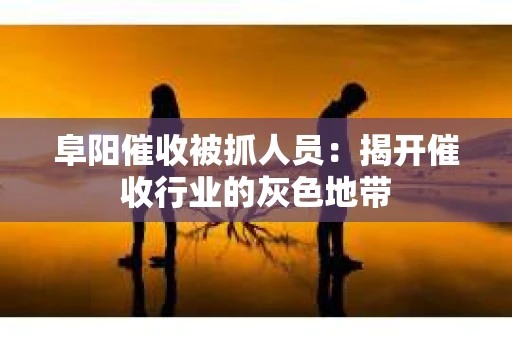 阜阳催收被抓人员：揭开催收行业的灰色地带