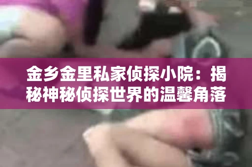 金乡金里私家侦探小院：揭秘神秘侦探世界的温馨角落
