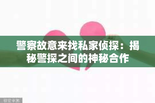 警察故意来找私家侦探：揭秘警探之间的神秘合作