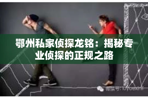 鄂州私家侦探龙铭：揭秘专业侦探的正规之路