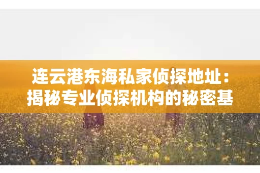 连云港东海私家侦探地址：揭秘专业侦探机构的秘密基地