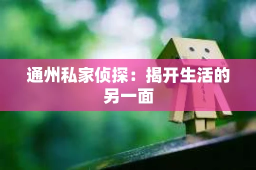 通州私家侦探：揭开生活的另一面