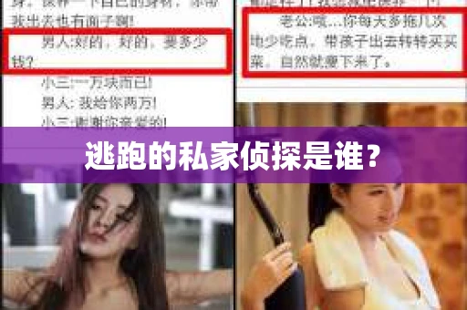 逃跑的私家侦探是谁？