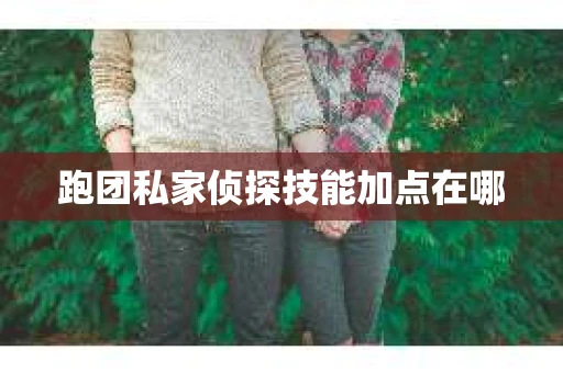 跑团私家侦探技能加点在哪