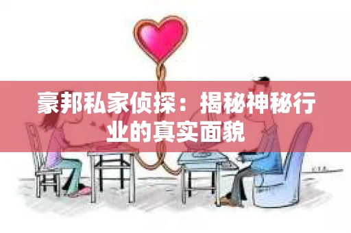 豪邦私家侦探：揭秘神秘行业的真实面貌