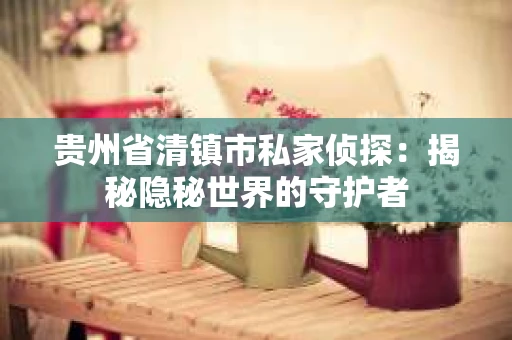 贵州省清镇市私家侦探：揭秘隐秘世界的守护者