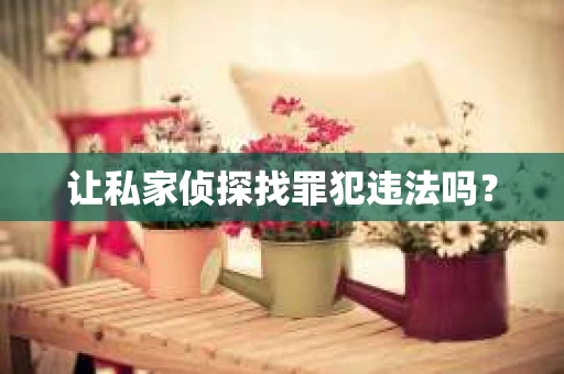 让私家侦探找罪犯违法吗？