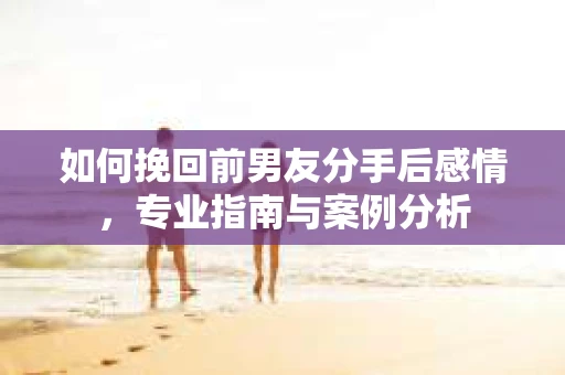 如何挽回前男友分手后感情，专业指南与案例分析