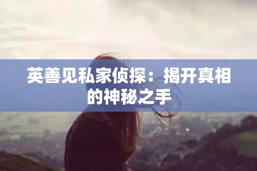 英善见私家侦探：揭开真相的神秘之手