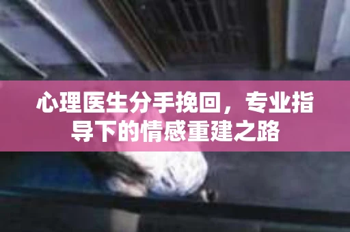 心理医生分手挽回，专业指导下的情感重建之路