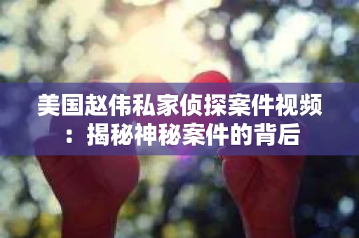 美国赵伟私家侦探案件视频：揭秘神秘案件的背后